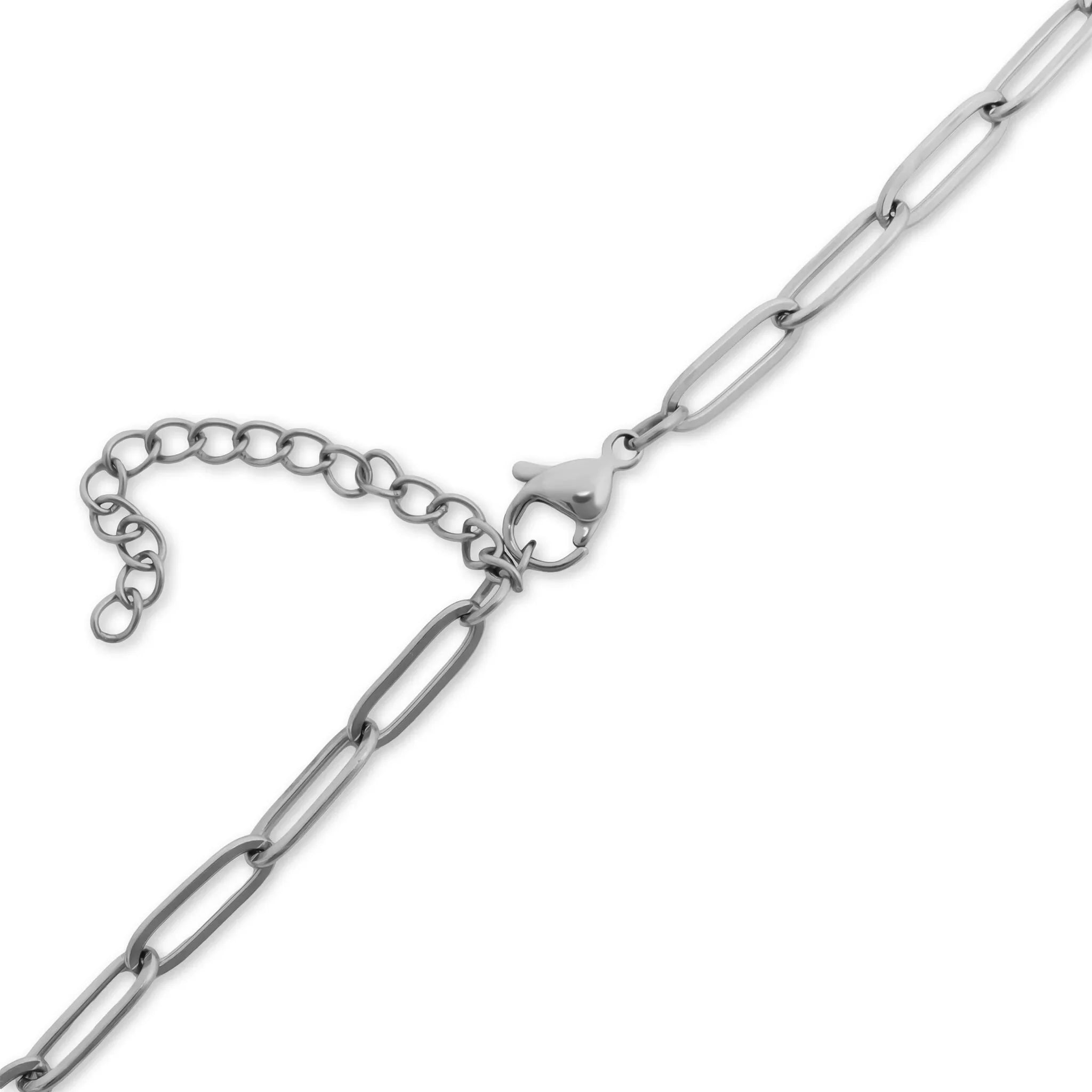 Solene SS Carabiner Necklace