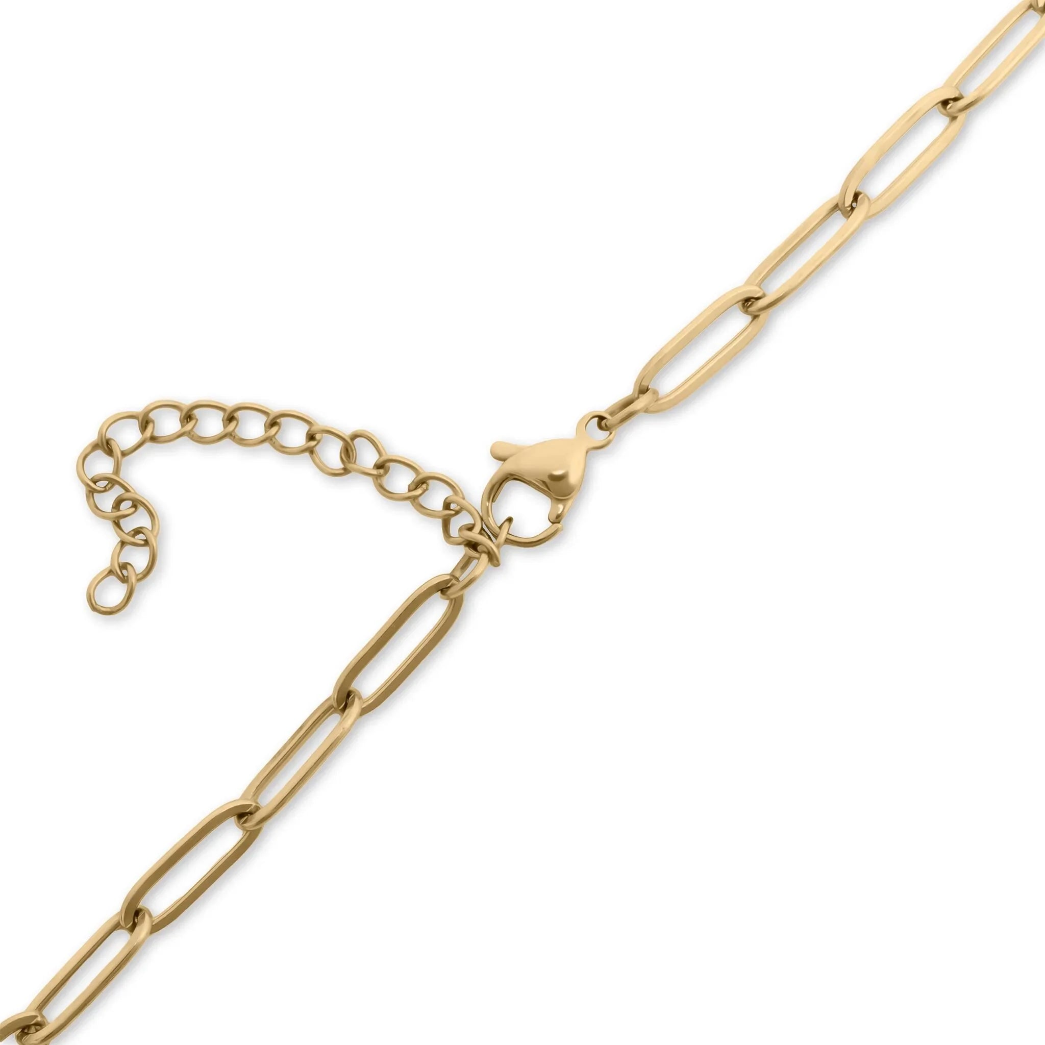 Solene Carabiner Necklace