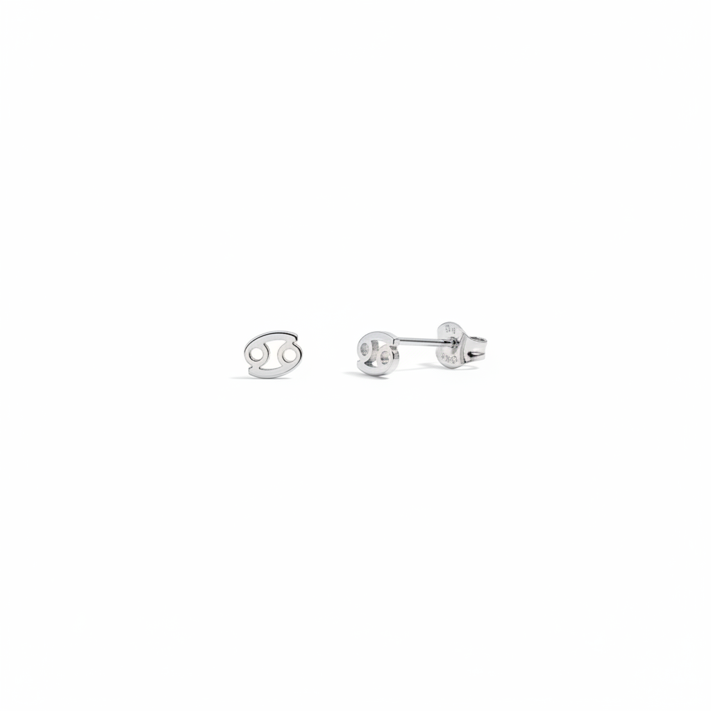 Celestial Zodiac Stud Silver Earrings