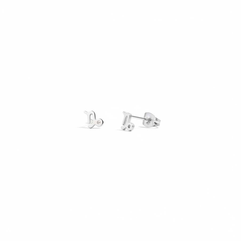 Celestial Zodiac Stud Silver Earrings