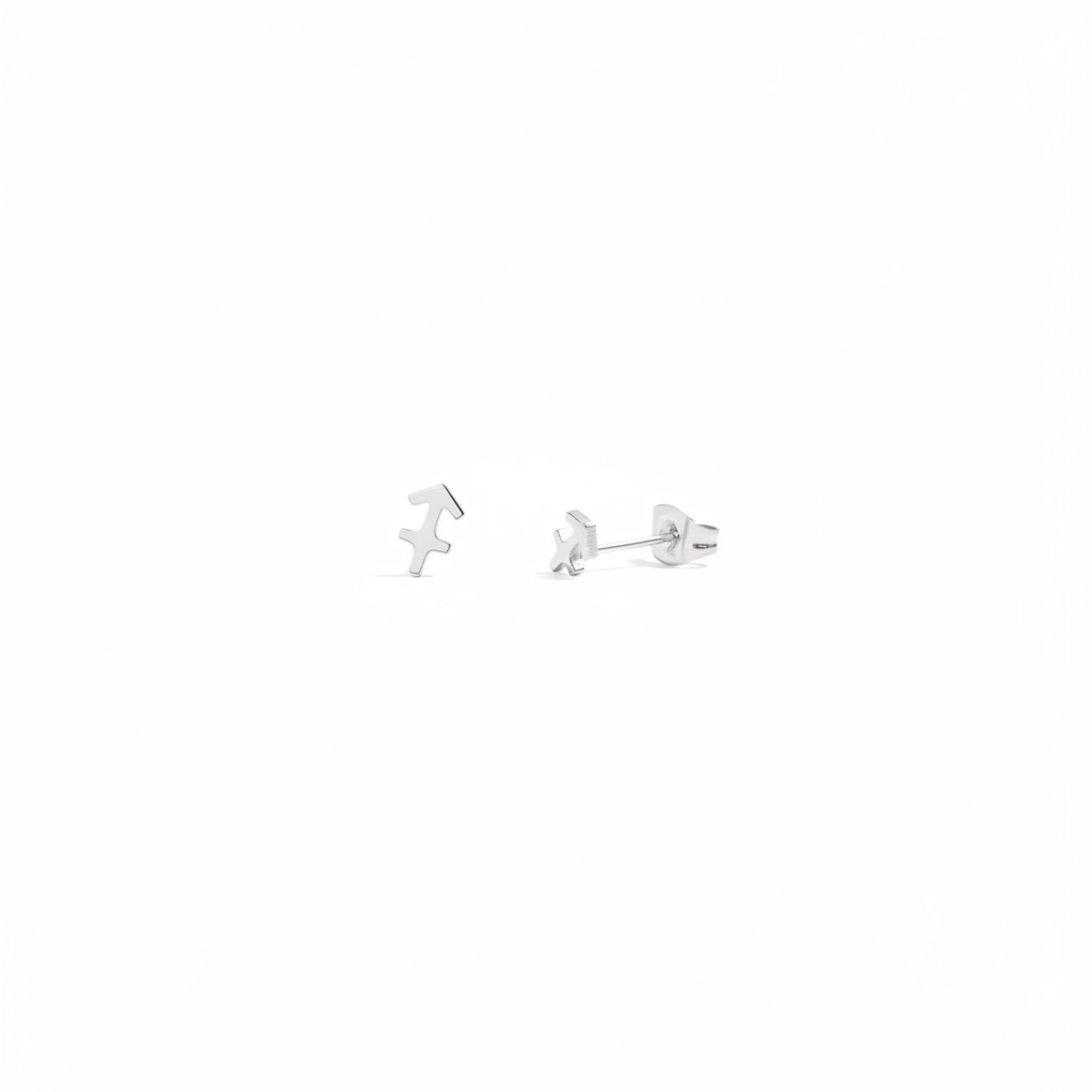 Celestial Zodiac Stud Silver Earrings