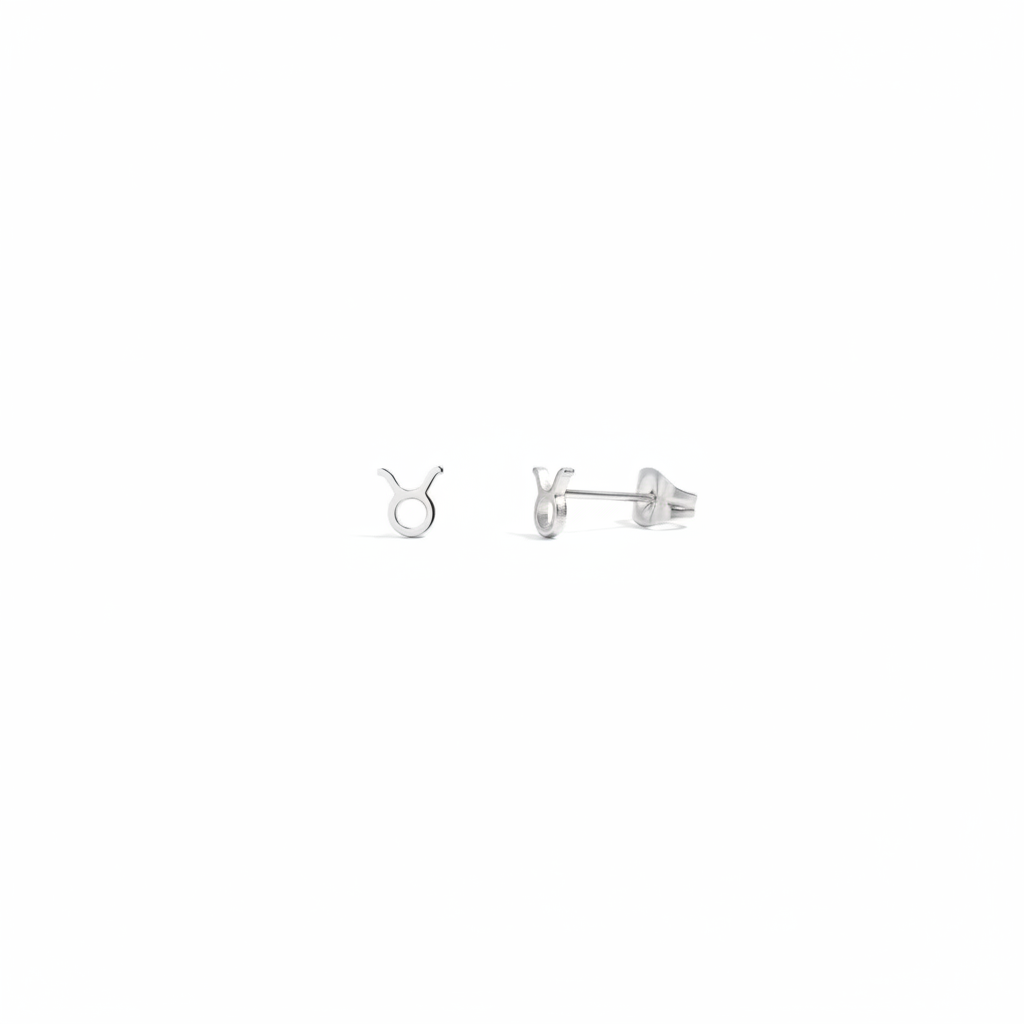 Celestial Zodiac Stud Silver Earrings